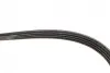 Ремінь генератора Fiat Sedici/Honda Civic/Kia Pride/Opel Omega B 1.6-4.4 88-14 Gates 4PK803 (фото 2)