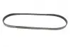 Ремінь генератора Fiat Sedici/Honda Civic/Kia Pride/Opel Omega B 1.6-4.4 88-14 Gates 4PK803 (фото 3)