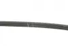 Ремінь генератора BMW 3 (E46)/5 (E39/E60/E61)/X5 (E53) 2.0-4.8i 00-06 M54/N62 Gates 4PK860 (фото 3)
