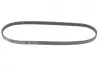 Ремінь генератора Mazda 323 1.3-1.8 -93/Hyundai Elantra 2.0 00-06/Toyota Camry 3.0 96-06 Gates 4PK878 (фото 4)