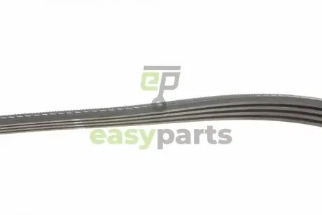 Ремінь генератора Renault Kangoo/Nissan Kubistar 1.2 16V 97- Gates 4PK928