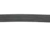 Ремінь генератора BMW 3 (E46)/X5 (E53)/5 (E39) 2.5D/3.0D 98-06 Gates 5PK810 (фото 3)