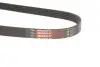 Ремінь генератора Ford Focus/Kuga 2.5 05- Gates 5PK848 (фото 3)