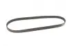 Ремінь генератора Ford Focus/Kuga 2.5 05- Gates 5PK848 (фото 5)