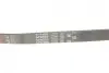 Ремінь генератора Ford Mondeo I-II/Fiesta IV/Focus II 1.8 TD/2.5 ST 93-00 Gates 5PK885 (фото 5)