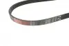 Ремінь генератора BMW 3/5 90-00 / Ford Focus 2.5 05-12 Gates 5PK890 (фото 2)