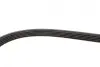 Ремінь генератора BMW 3/5 90-00 / Ford Focus 2.5 05-12 Gates 5PK890 (фото 3)