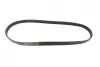 Ремінь генератора BMW 3/5 90-00 / Ford Focus 2.5 05-12 Gates 5PK890 (фото 4)
