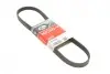 Ремінь генератора Honda Accord/Fiat Punto/VW Passat B7 1.7TD-2.5 -97 Gates 5PK933 (фото 1)