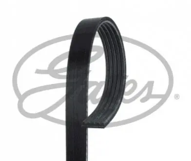 Ремінь поліклиновий Gates 5PK955