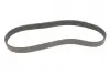Ремінь генератора Citroen Berlingo/Fiat Ducato 1.9 D/TD 96-03 Gates 6PK730 (фото 4)
