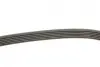 Ремінь генератора Skoda Octavia/Fabia/VW Caddy III/Golf III/V/VI 1.4/1.6 91- Gates 6PK738 (фото 3)