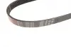 Ремінь генератора Citroen Berlingo/Peugeot Partner 1.6HDI/ Ford Fiesta/Focus 1.4-1.6 TDCi 01- Gates 6PK803 (фото 3)
