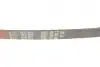 Ремінь генератора Fiat Scudo/Peugeot Expert 1.6 96-06 Gates 6PK893 (фото 5)