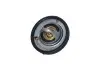 Термостат Ford Fusion/Fiesta/Focus 1.2-1.6 98- (82?C) NRF 725159 (фото 1)