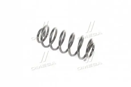 Пружина подв. GEELY MK задн. RIDER RD.28110133