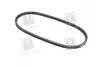 Ремінь клиновий 13X875 DAEWOO Espero FIAT MAZDA 323 DB NISSAN OPEL... SKF VKMV13AVx875 (фото 1)
