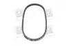 Ремінь клиновий 13X875 DAEWOO Espero FIAT MAZDA 323 DB NISSAN OPEL... SKF VKMV13AVx875 (фото 2)
