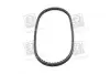 Ремінь клиновий 13X875 DAEWOO Espero FIAT MAZDA 323 DB NISSAN OPEL... SKF VKMV13AVx875 (фото 4)