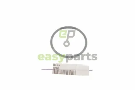 Прокладка термостата VW T5 2.0 TDI 09-15 ELRING 007.920