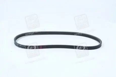 Ремінь гідропідсилювача (Mobis) Hyundai/Kia/Mobis 571702D101