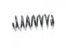Пружина задней подвески GM 96858417 (фото 1)
