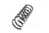 Пружина задней подвески GM 96858417 (фото 4)