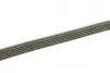 Ремень генератора BMW 3 (E46)/5 (E39)/7 (E38)/X5 (E53) 3.0D 98-05 (M57) (5PK2063) BOSCH 1 987 946 079 (фото 2)