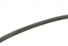 Ремінь генератора BMW X5 (E70) 3.0 si 06-08 (4PK819) BOSCH 1 987 946 107 (фото 5)