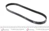 Ремінь генератора Ford Focus 1.6i (6EPK1059) BOSCH 1 987 946 132 (фото 2)