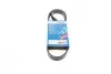 Ремінь генератора Ford Fiesta/Fusion 1.25-1.6Ti 01- (6PK1019) BOSCH 1 987 946 142 (фото 1)