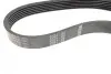 Ремінь генератора Ford Fiesta/Fusion 1.25-1.6Ti 01- (6PK1019) BOSCH 1 987 946 142 (фото 3)