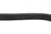 Ремінь генератора Ford Fiesta/Fusion 1.25-1.6Ti 01- (6PK1019) BOSCH 1 987 946 142 (фото 4)