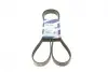 Ремінь генератора BMW 7 (E65/E66/E67) 4.0/4.5D 02-08/Honda Accord 2.0 03-08 (7PK1760) BOSCH 1 987 946 255 (фото 1)