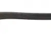 Ремінь генератора Renault Trafic/Opel Vivaro 2.0CDTi 06-/MB E-class 3.0 11-13/Toyota Avensis 05-08 (7PK2000) BOSCH 1 987 946 259 (фото 8)