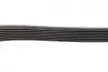 Ремінь генератора Renault Trafic/Opel Vivaro 2.0CDTi 06-/MB E-class 3.0 11-13/Toyota Avensis 05-08 (7PK2000) BOSCH 1 987 946 259 (фото 3)