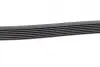 Ремінь генератора Toyota Hilux 2.5D 05-15 (7PK1516) BOSCH 1 987 947 560 (фото 4)