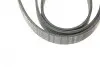 Ремінь генератора Audi A4-A6/Q5 2.7/3.0TDI 05-/Hyundai Santa Fe/Kia Sorento 2.0-2.2CRDi 09-(6PK2498) BOSCH 1 987 947 564 (фото 5)