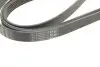 Ремінь генератора Audi A4-A6/Q5 2.7/3.0TDI 05-/Hyundai Santa Fe/Kia Sorento 2.0-2.2CRDi 09-(6PK2498) BOSCH 1 987 947 564 (фото 6)