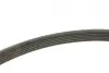 Ремінь генератора Peugeot Partner 1.6 VTi 08-/Renault Kangoo/Scenic 1.5dCi/1.6 13- (6PK1205) BOSCH 1 987 947 577 (фото 2)