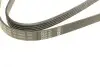 Ремінь генератора VW Passat B5/Audi A4/A6 1.9TDI 98-05/Skoda Superb 1.9/2.0TDI 01-08 (5PK1432) BOSCH 1 987 948 491 (фото 3)