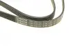 Ремінь генератора VW Passat B5/Audi A4/A6 1.9TDI 98-05/Skoda Superb 1.9/2.0TDI 01-08 (5PK1432) BOSCH 1 987 948 491 (фото 4)