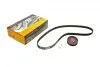 Комплект ГРМ Audi A4/VW Passat 1.6i 96-00 (18x121z) Contitech CT848K3 (фото 1)