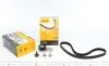 Комплект ГРМ Mazda 2/Ford Fiesta/Focus/Volvo S40/V50 1.25i-1.6 16V 95- (22x117z) Contitech CT881K2 (фото 1)