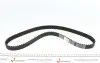 Комплект ГРМ Mazda 2/Ford Fiesta/Focus/Volvo S40/V50 1.25i-1.6 16V 95- (22x117z) Contitech CT881K2 (фото 2)