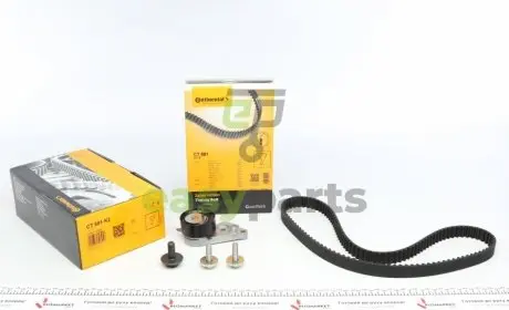 Комплект ГРМ Mazda 2/Ford Fiesta/Focus/Volvo S40/V50 1.25i-1.6 16V 95- (22x117z) Contitech CT881K2