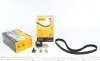 Комплект ГРМ Mazda 2/Ford Fiesta/Focus/Volvo S40/V50 1.25i-1.6 16V 95- (22x117z) Contitech CT881K2 (фото 7)
