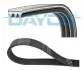 Ремінь генератора Mazda 3/6/CX-3/CX-5 1.5/2.0/2.5 11- DAYCO 3PK798EE (фото 1)