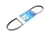 Ремінь генератора Suzuki Swift 1.0i 95-05 DAYCO 4PK825 (фото 1)