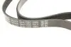 Ремінь генератора Nissan Pathfinder II 3.3 V6 97-04 DAYCO 5PK1280 (фото 4)